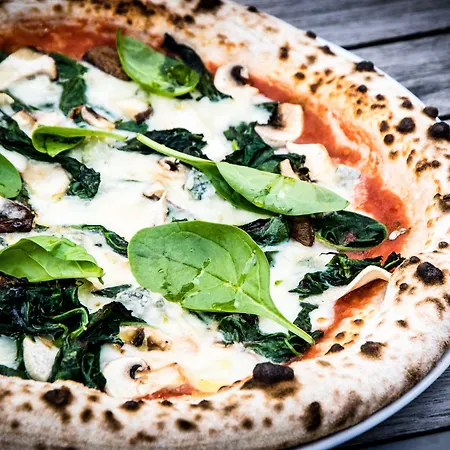 Impulsiv & Sportresort Ξενοδοχείο Lörrach